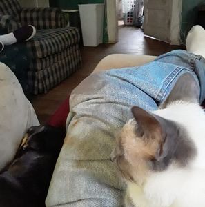 Meet your Posher, Irvin